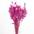 Bunny Tails (Hares ) Pink  80Grams Col 125P