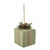 Willow Parcel Medium