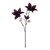 Clematis 2 Flower Spray Purple 63cm 