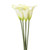 Calla Lily Bundle X5 Wh/Grn