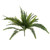 Boston Fern 48 Leaves 76Cm