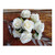Antique Rose Bush Cream
