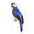 Baby Macaw Blue