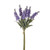 Lavender In Bloom Bundle Purp