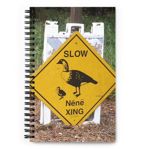 Spiral Notebook US National Parks Planner, Memories, Treasures 041, FRONT. Size: 5.50in x 11.50in (13cm x 21cm). Inspiring Image Design on Front, Textured Background, Text, and Fancy Divider Image on Back. Create memories, record them, organize them, and pass them on to generations as unique family history. Fun gift for Family, Friends, Coworkers, Self, and Others.