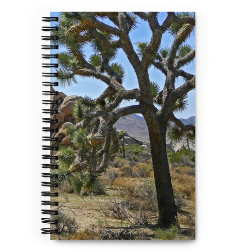 Spiral Notebook US National Parks Planner, Memories, Treasures 045, FRONT. Size: 5.50in x 11.50in (13cm x 21cm). Inspiring Image Design on Front, Textured Background, Text, and Fancy Divider Image on Back. Create memories, record them, organize them, and pass them on to generations as unique family history. Fun gift for Family, Friends, Coworkers, Self, and Others.