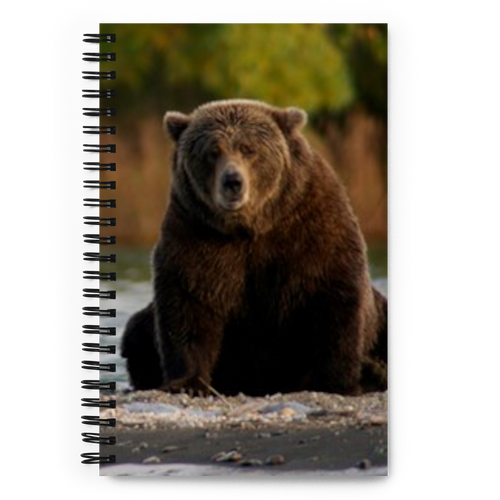 Spiral Notebook US National Parks Planner, Memories, Treasures 046, FRONT. Size: 5.50in x 11.50in (13cm x 21cm). Inspiring Image Design on Front, Textured Background, Text, and Fancy Divider Image on Back. Create memories, record them, organize them, and pass them on to generations as unique family history. Fun gift for Family, Friends, Coworkers, Self, and Others.