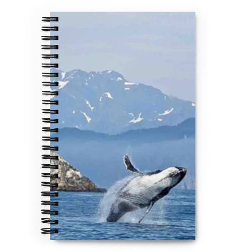 Spiral Notebook US National Parks Planner, Memories, Treasures 047, FRONT. Size: 5.50in x 11.50in (13cm x 21cm). Inspiring Image Design on Front, Textured Background, Text, and Fancy Divider Image on Back. Create memories, record them, organize them, and pass them on to generations as unique family history. Fun gift for Family, Friends, Coworkers, Self, and Others.