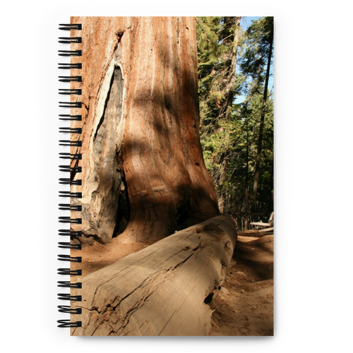 Spiral Notebook US National Parks Planner, Memories, Treasures 060, FRONT. Size: 5.50in x 11.50in (13cm x 21cm). Inspiring Image Design on Front, Textured Background, Text, and Fancy Divider Image on Back. Create memories, record them, organize them, and pass them on to generations as unique family history. Fun gift for Family, Friends, Coworkers, Self, and Others.