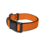 PET-COLLAR-DOG-CAT-COLOR-SIZE-OPTIONS-MANGO-TANGO-MATCH