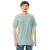 TEE-SHIRT-MENS-COTTON-HEAVYWEIGHT-IMAGE-NO-WIND