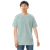 TEE-SHIRT-MENS-COTTON-HEAVYWEIGHT-IMAGE-NO-WIND