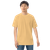 TEE-SHIRT-MENS-COTTON-HEAVYWEIGHT-IMAGE-PARKED