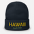 KNIT-BEANIE-CAP-USA-STATE-HAWAII-1959