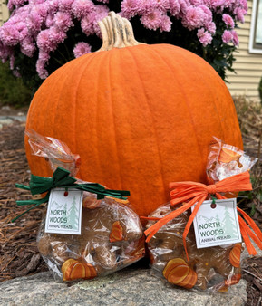Fall Gift Bag