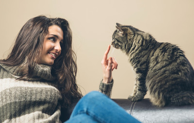 I love you! In Cat Language