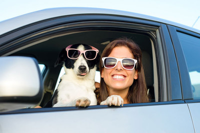 Pet sitter or boarding outside the home?