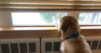 Battling Boredom During Winter Months