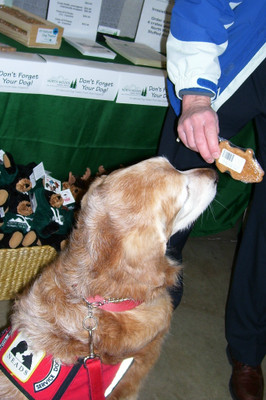 Is that a working dog, a service dog and a therapy dog?