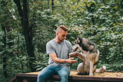 New Year's Resolution for a dog?