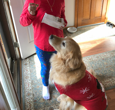Creating Dog Treats Has Come a Long Way