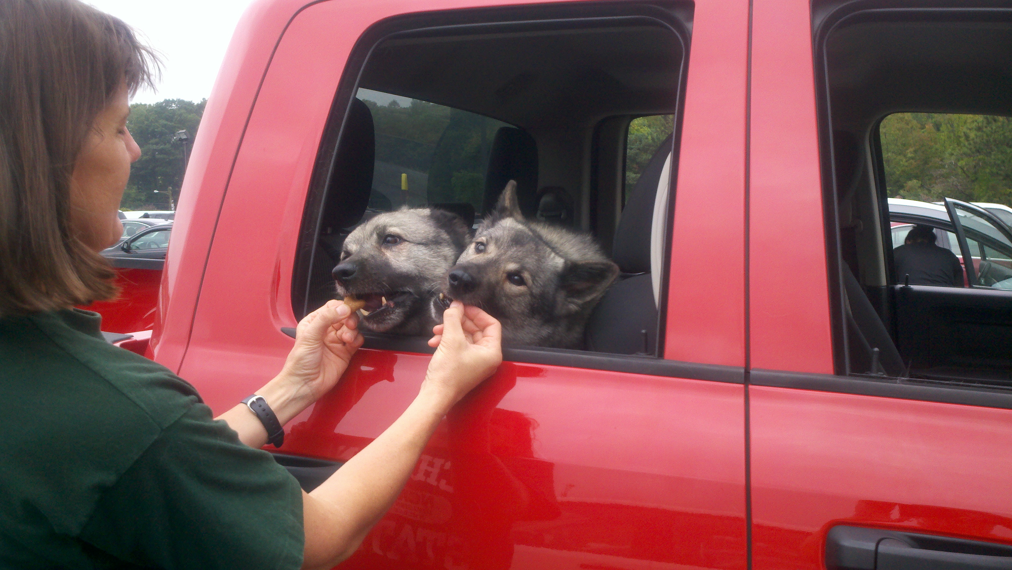 North Woods Animal Treats