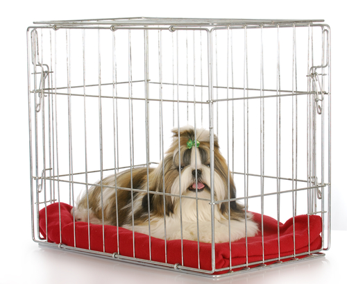 The use of crates and dog management