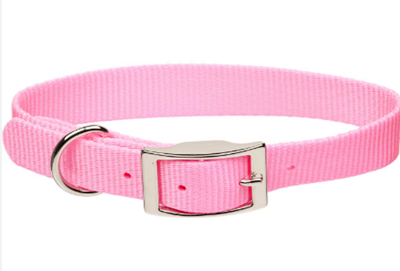 Collars Collars