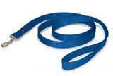 Blue Dog Leash