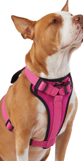 Pink Dog Harness