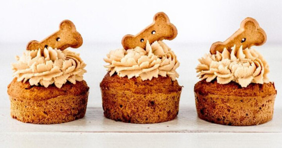 Puppy Cupcake Seasonal Flavor 1