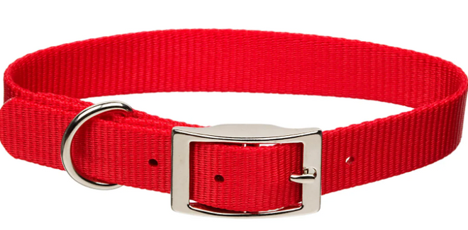 Red Dog Collar