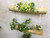 Copy of Bamboo Hanging Planter