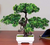Artificial Plant