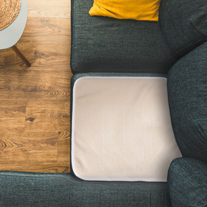 Seat Cover on couch.