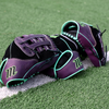 Capitol+ C Type SE15 12.00" Dual Hinge
