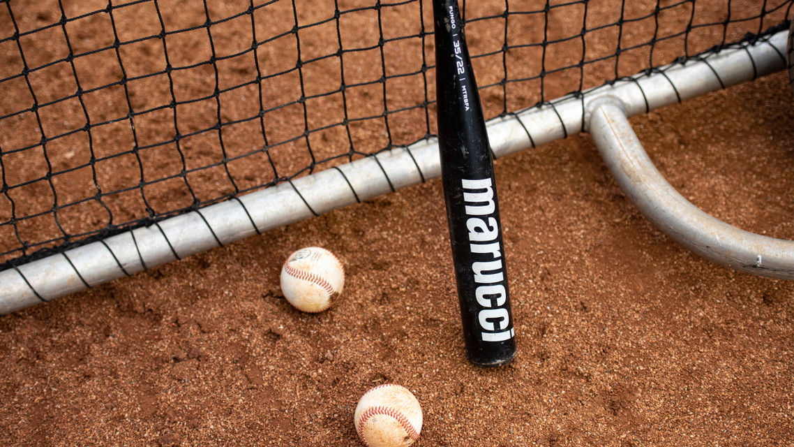 Fungo bat online