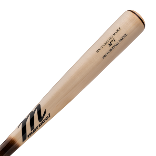 M71 Pro Model