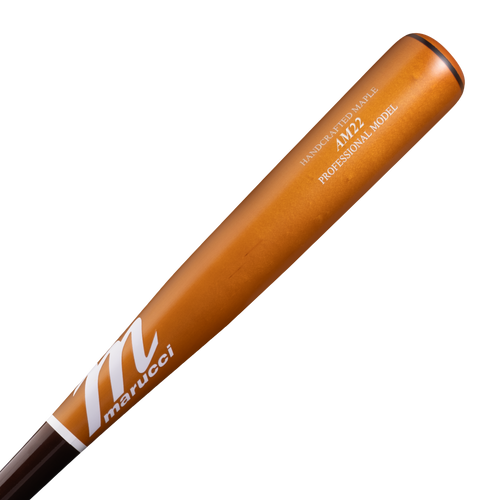 AM22 Pro Model