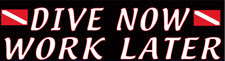 Scuba Diving Bumper Decal Sticker "Dive Now"