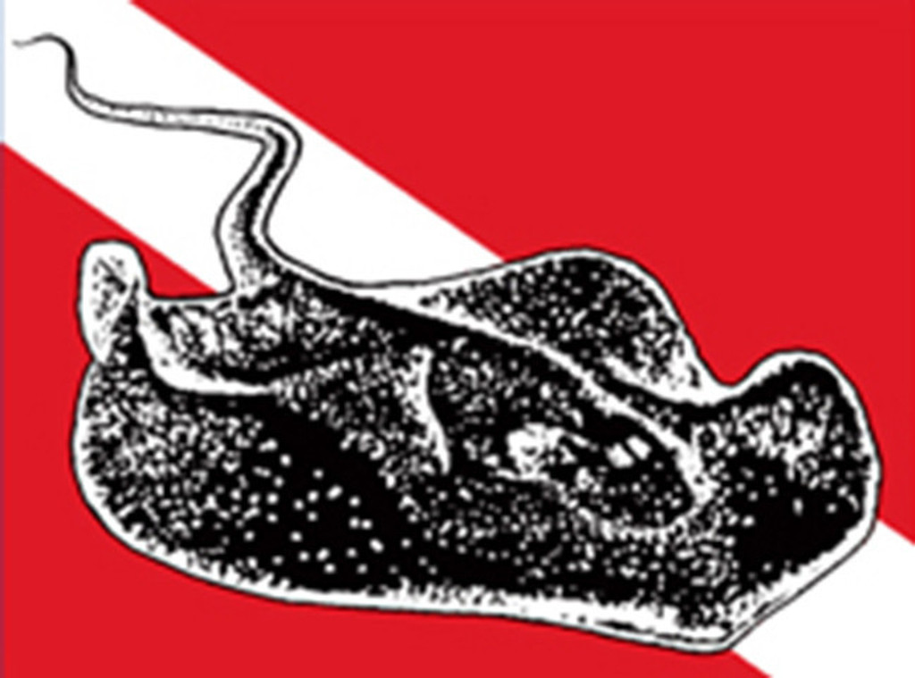 Sting Ray Dive Flag Bumper Sticker Decal