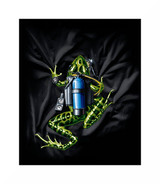 Amphibious Outfitters Diving T-Shirt - Scuba Frog - Black