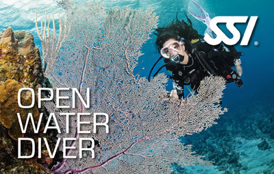SSI Open Water Diver class at Coral Sea Scuba