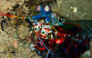 Bali Indonesia Adventure Bali Indonesia Adventure