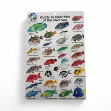 Guide to Reef Fish Red Sea ID Card Travel 6x9 BK17 - Coral Sea