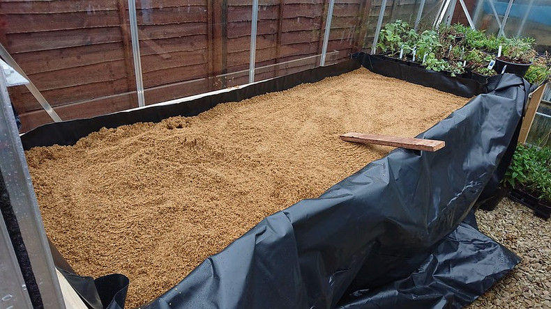 Rainy Day, new propagating bench