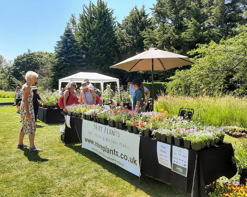 Rare Plant Fair