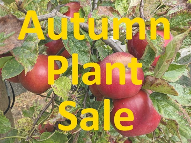 Autumn Plant Sale