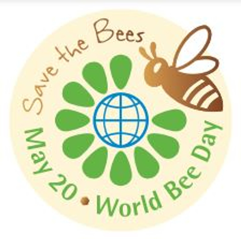 World Bee Day Shire Plants