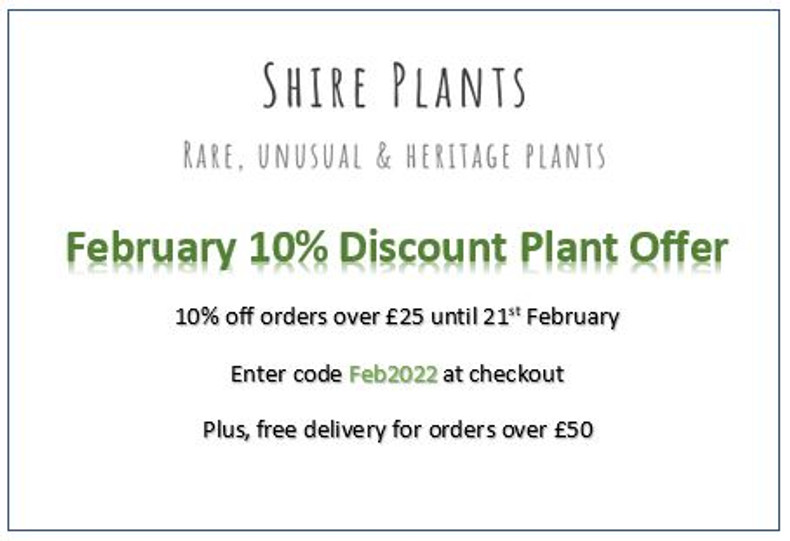 February Plant Discount